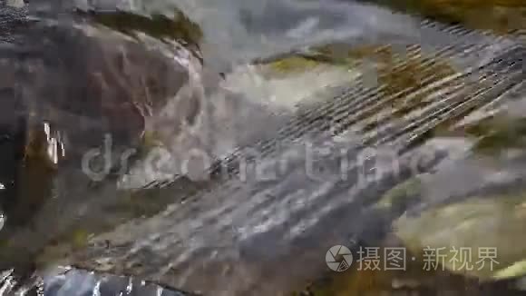 清澈的水流在小溪或河流中荡漾视频