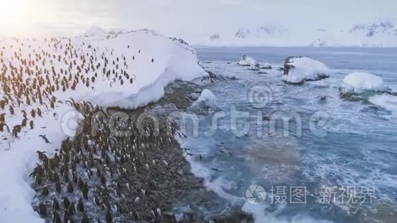 企鹅群在南极洲海岸。 空中飞行。