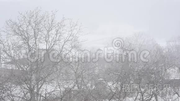 在冬季风暴中落下的雪花视频