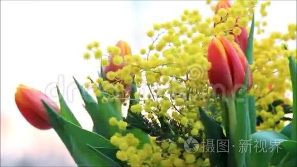 郁金香花束与黄色含羞草旋转视频