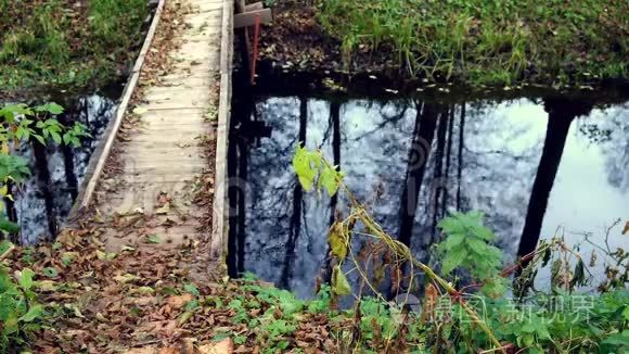 秋天的树叶和河流的乡村木桥视频