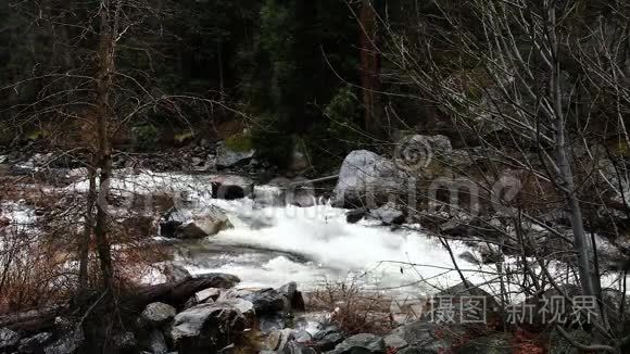 快速运动的山河越过岩石与裸露的树木岸边