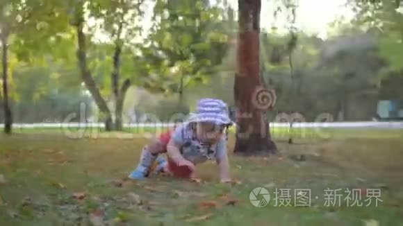 巴拿马的婴儿在公园的草地上爬行。 镜头飞来飞去.. 斯坦迪卡姆。