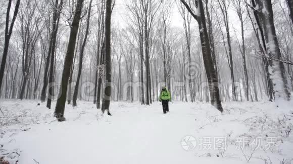 冬天的时候，人们在森林里徒步旅行。