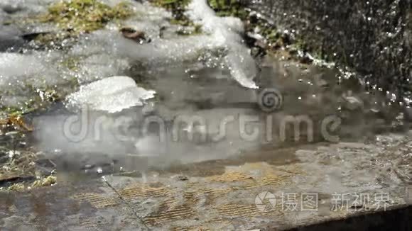 春季积雪融化的水滴视频