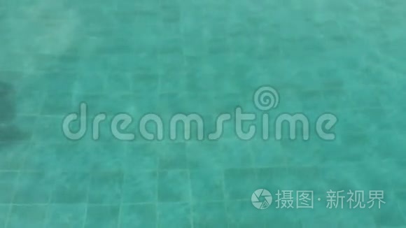 游泳池的蓝水运动视频