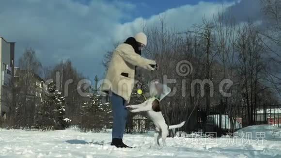 带着狗走路的女人视频