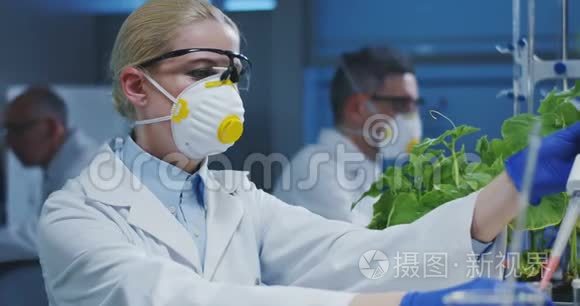 科学家试验绿色植物视频