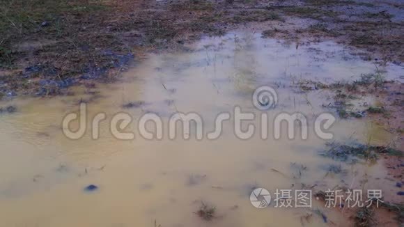 雨点落在草地上的水坑里