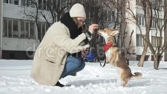 带着狗走路的女人视频