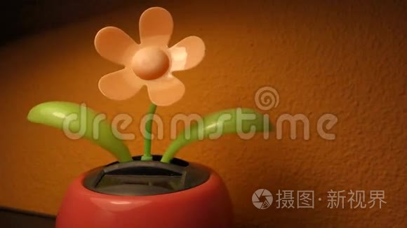 太阳舞之花