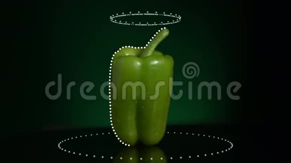 青胡椒视频素材下载 高清版权青胡椒ae模板免费下载 潮点视频