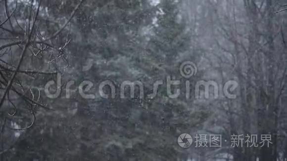 窗户第一次下雪，雪花很大