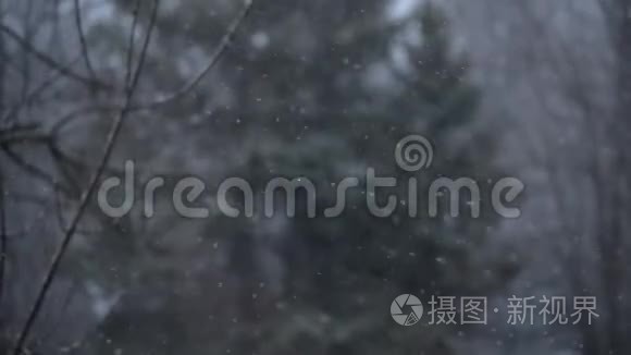 窗户第一次下雪，雪花很大