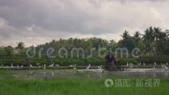 农民种植水稻前耕种田地.. 田野里满是泥水。 美丽的乡村景色。 旅费