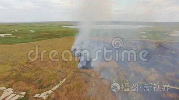 湖边的乡村田野燃烧视频