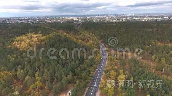 林中弯曲道路的鸟瞰图视频