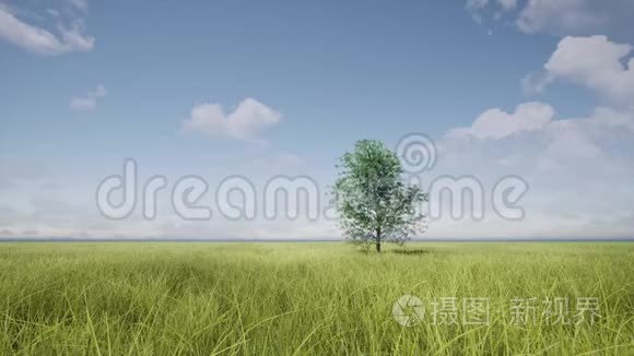 生长树。 商业发展。 节约能源。 空间背景。 抽象背景。 地球日的概念。 花园式植物