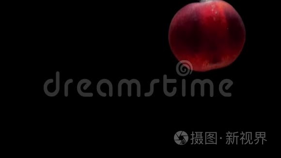 熟桃在黑色背景下落入透明水视频