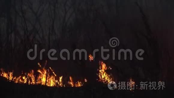 野火发生在田野上视频