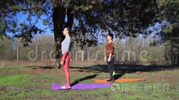 在森林公园锻炼瑜伽健身运动的女性配对。