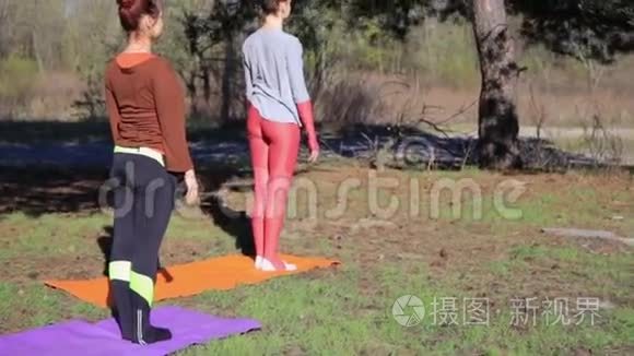 在森林公园锻炼瑜伽健身运动的女性配对。