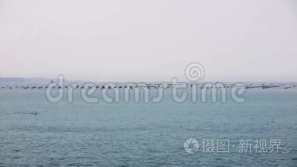 许多船只停在海平面直线上视频