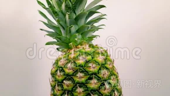菠萝在白色背景上旋转短视频