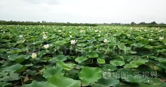 令人惊叹的空中库存录像视频