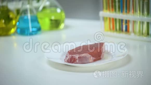 实验室助理检查肉类样品，质量控制和食品专业知识