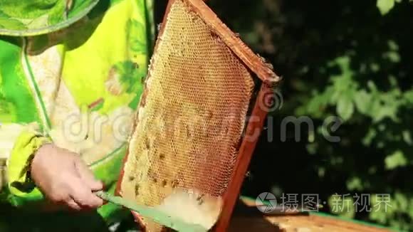 阿皮亚人收集蜂蜜视频