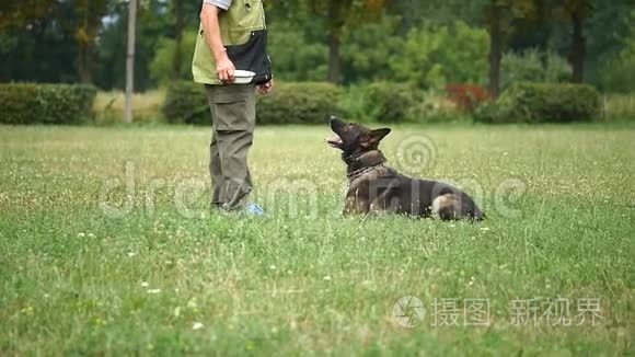 训练犬。 他教的是德国牧羊犬