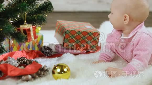 新生儿探索圣诞树视频