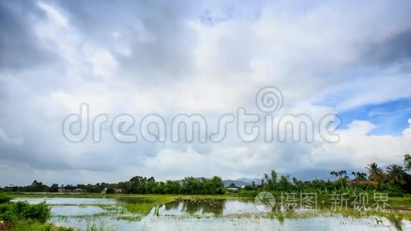 水林村稻田云天全景