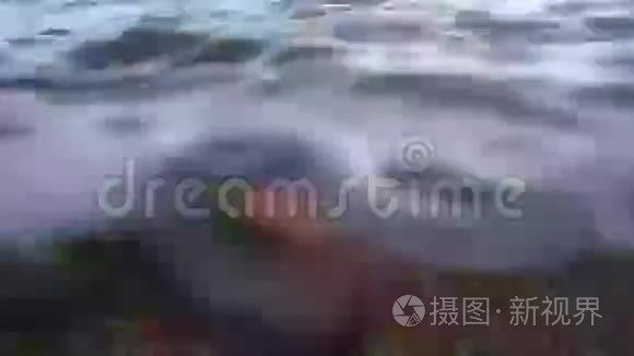 沙滩上海浪下的海螺壳