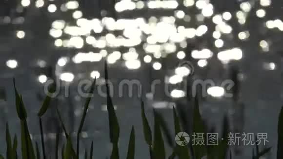 软聚焦波克光对水的影响，超高清4k，实时