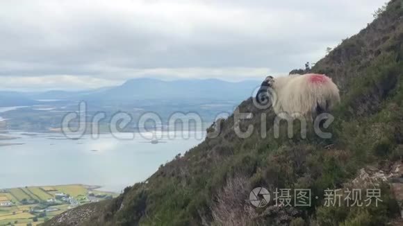 从克罗阿帕特里克山看风景