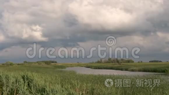 带着芦苇的暴风雨云在湖面上视频