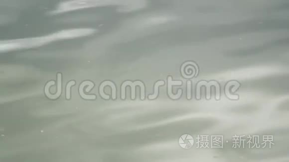 太阳湖闪耀地表水视频