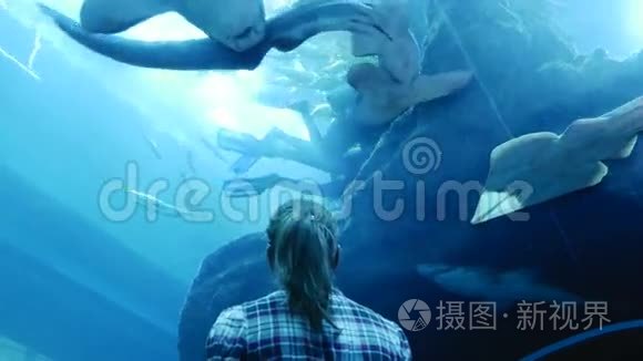 女人正在观看水族馆居民的生活视频