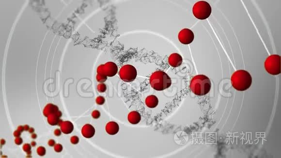 脱氧核糖核酸模型视频
