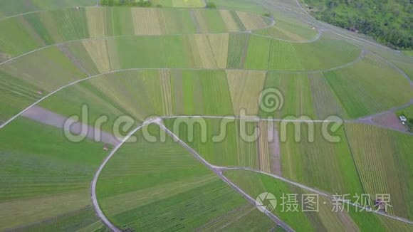 葡萄园山由无人驾驶飞机从上面飞过。 夕阳从绿色的乡村拍摄。 慢镜头无人机移动