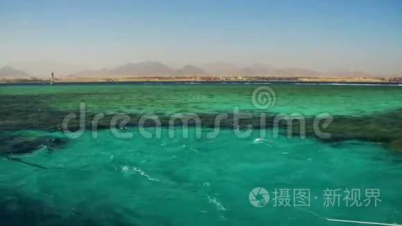 红海的珊瑚礁和埃及的清水视频
