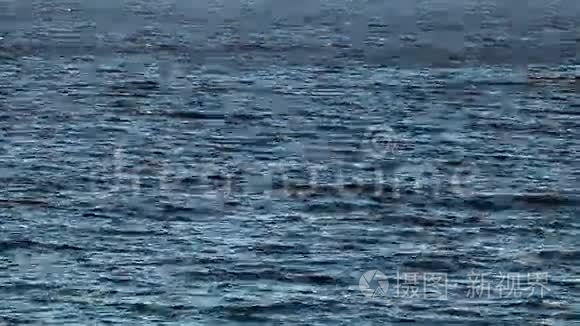 渔船带着海鸥返回港口视频