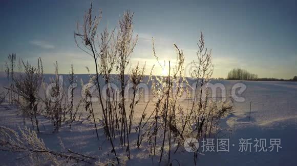 冬天的傍晚，田野里夕阳西下，时光飞逝