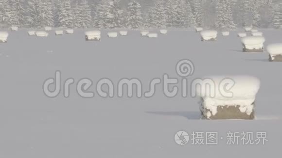 农村地区冬季大雪视频