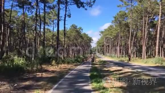 骑自行车的视角镜头视频
