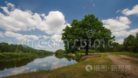 明亮的夏日时光视频