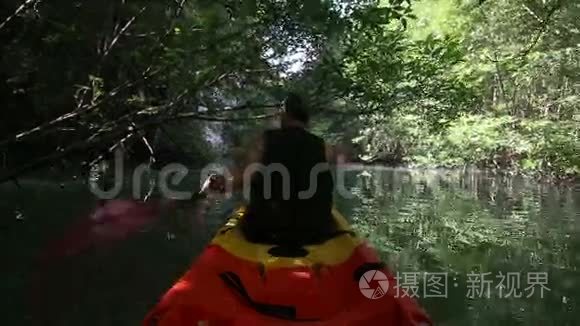 老人在树影中沿着泻湖漂流视频