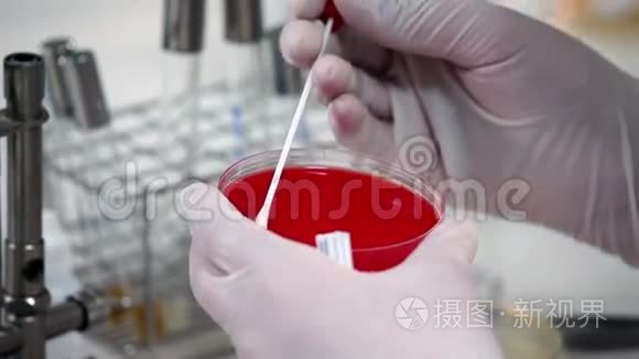 细菌分析中的学校医学研究视频